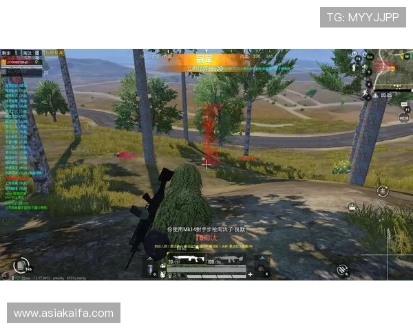 深入了解凯发网址的在线游戏种类与玩家体验分享