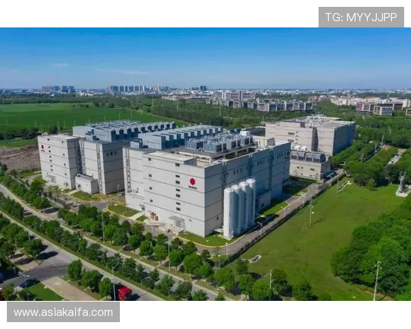 分析K8电子竞技在全球市场的布局与竞争优势，拓展国际影响力路径